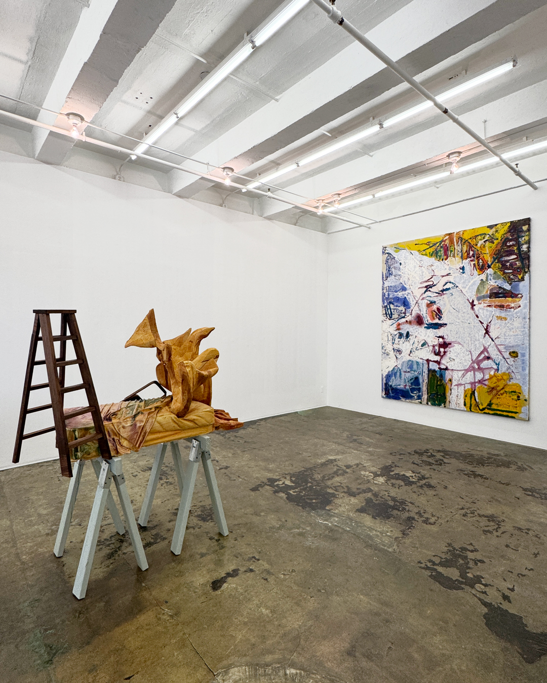 Dona Nelson and Andrew Ross New Works